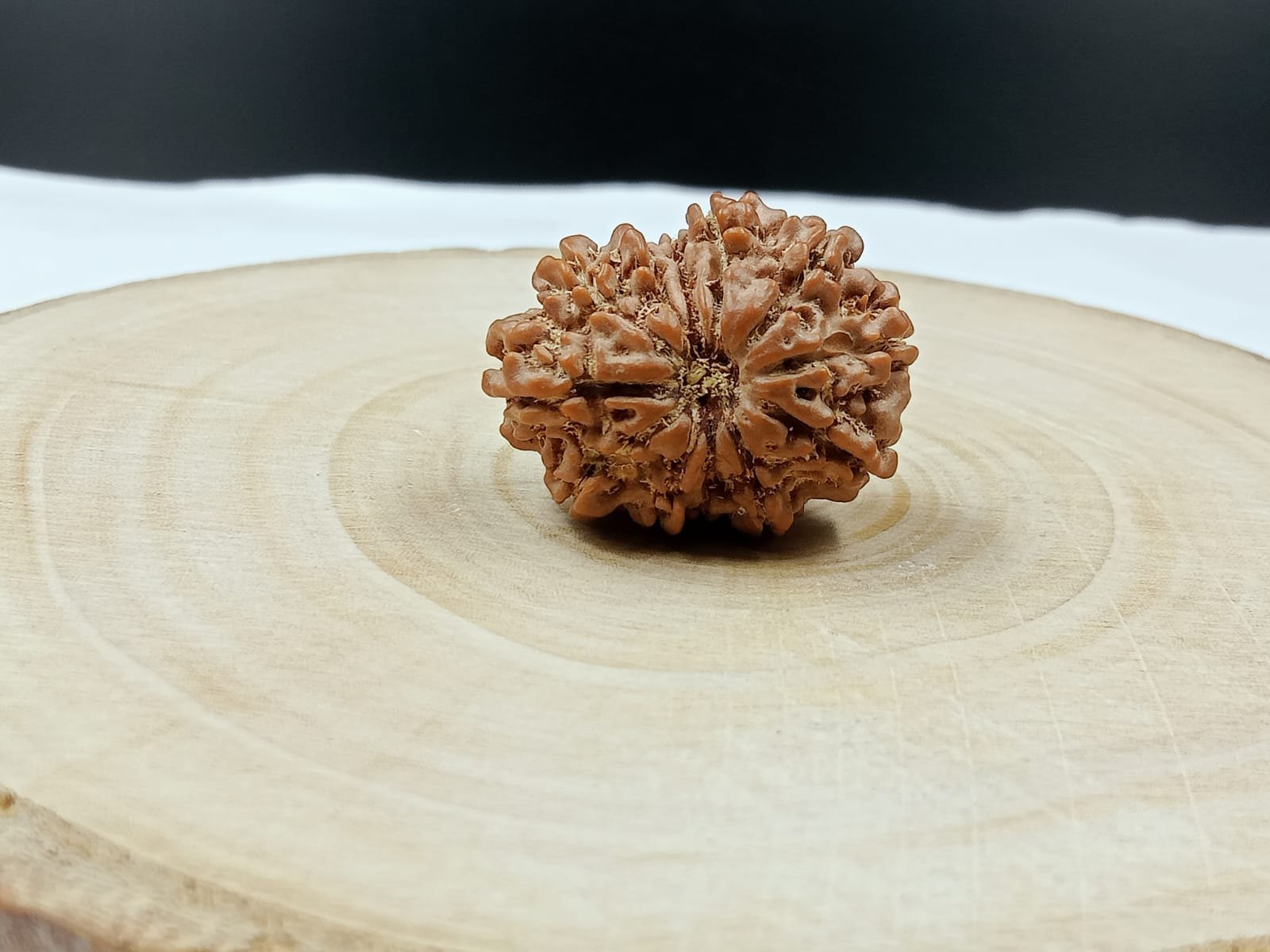 NATURAL 11 MUKHI NEPAL RUDRAKSHA