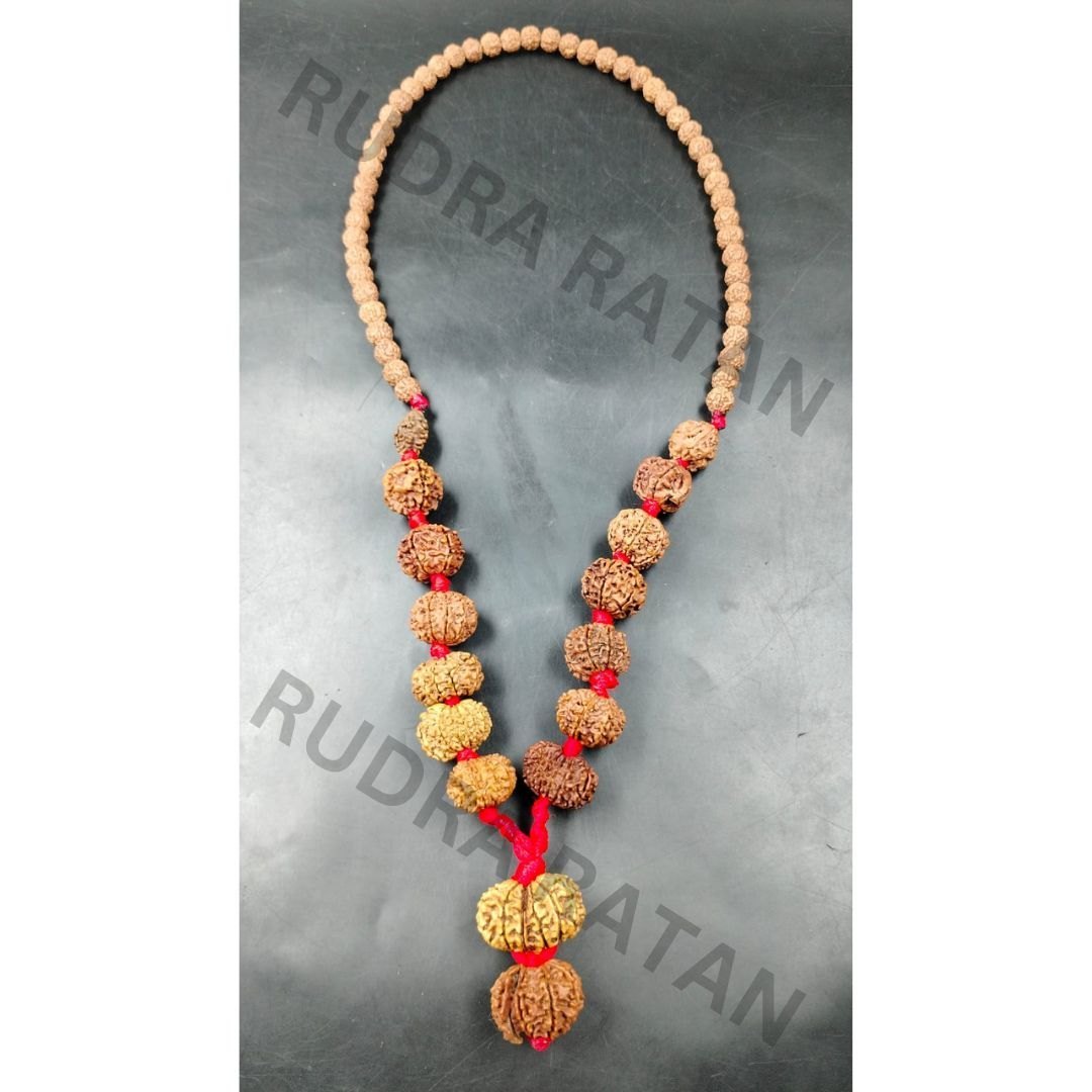 NATURAL 1 TO 14 MUKHI ALL NEPAL RUDRAKSHA SIDDHA MALA